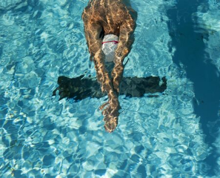 Benefits Of Swimming