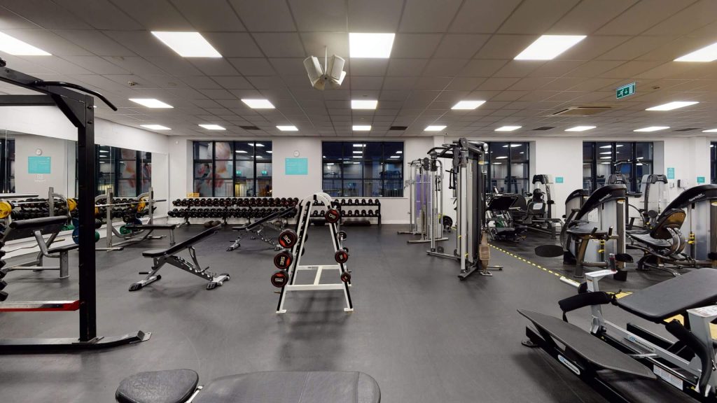 Free Weights At Gym Plus